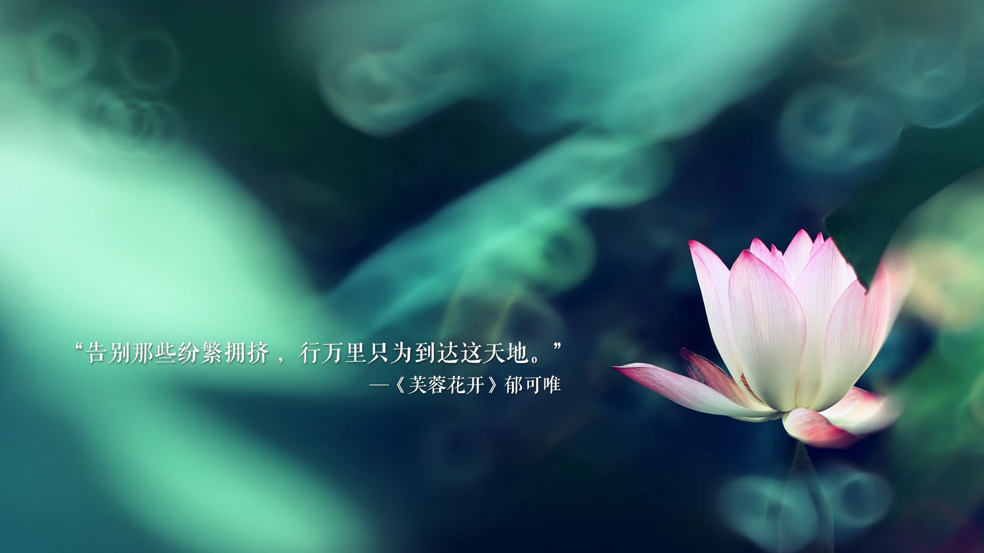 爱游戏体育客户端-追梦想的篮球少年：联盟最青睐的未来新星，篮球少年歌