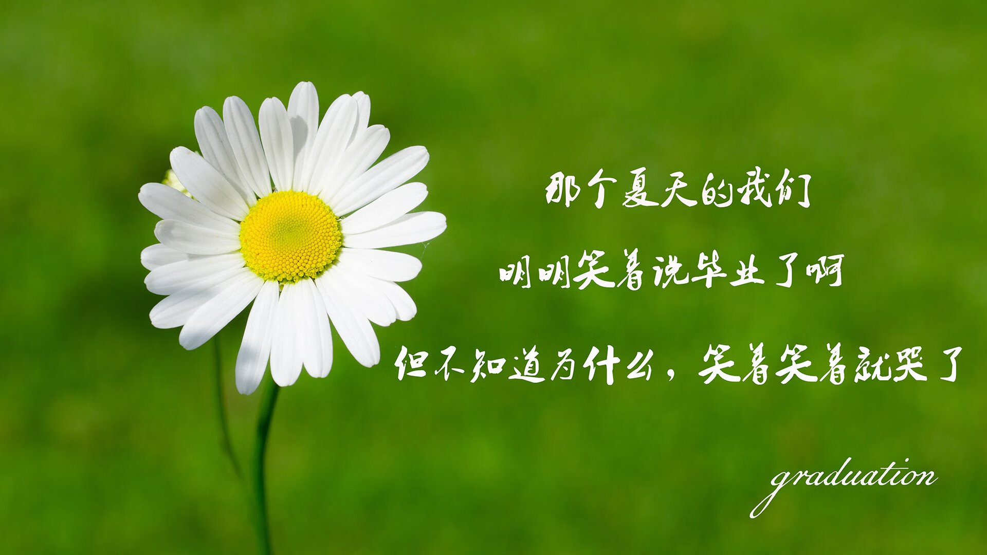 爱游戏首页入口-佩纳罗尔球员获月度最佳，佩纳罗尔足球俱乐部