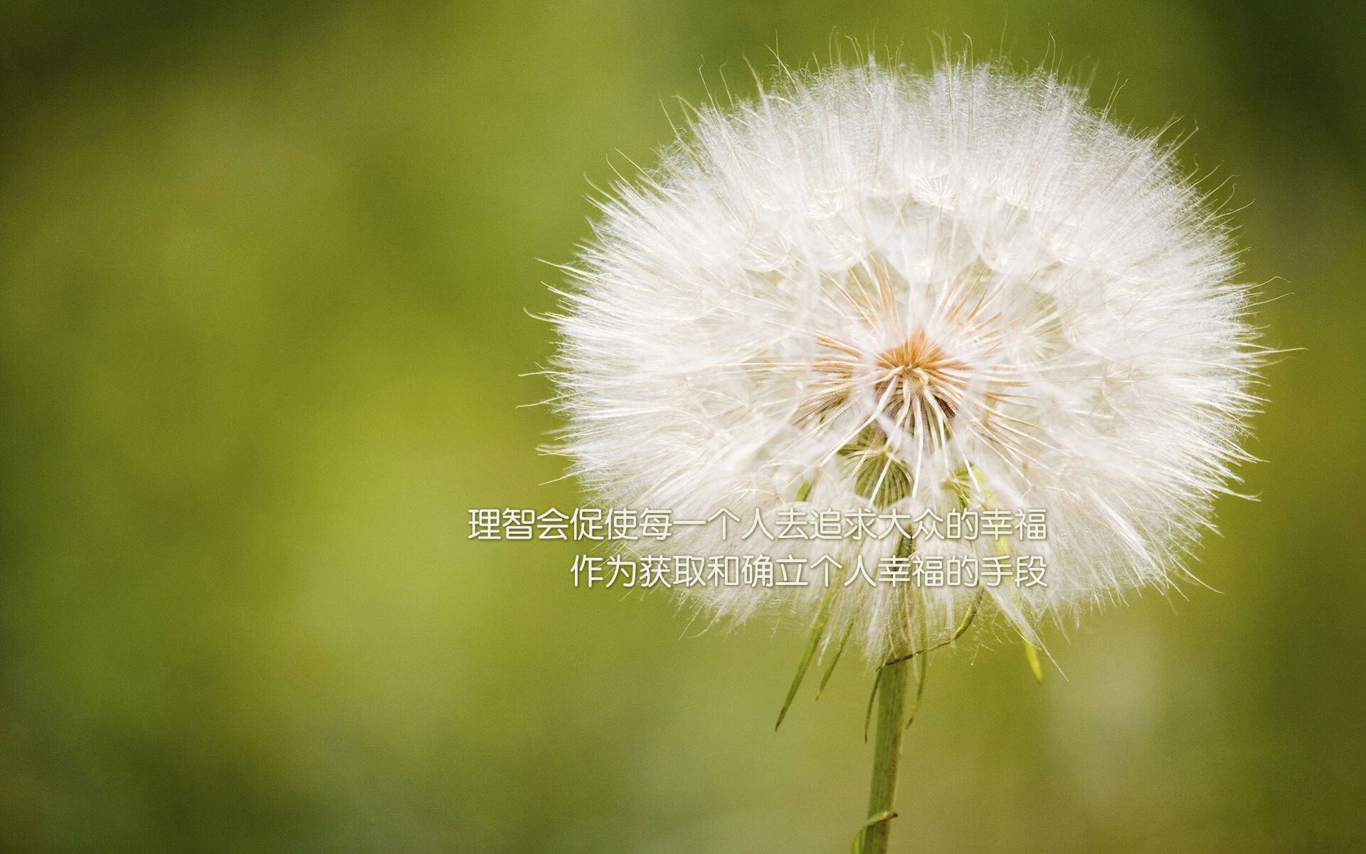 爱游戏娱乐-德甲劲旅球员伤病情况更新，德甲锦集
