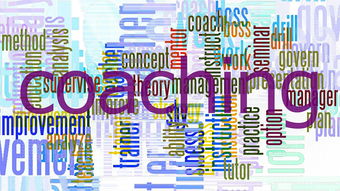 爱游戏线上-意甲球迷忠诚计划对比赛日收入改善的作用,意甲忠诚球员