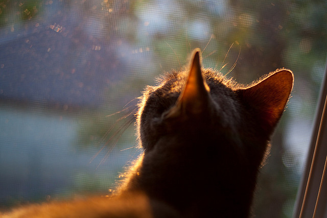 爱游戏网页版-法甲青训中心心理任职测试模型与长周期技战术表现成长性的相关性