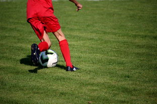 爱游戏赛事中心-篮球运动员心理健康维护与干预体系构建,篮球运动员心理训练