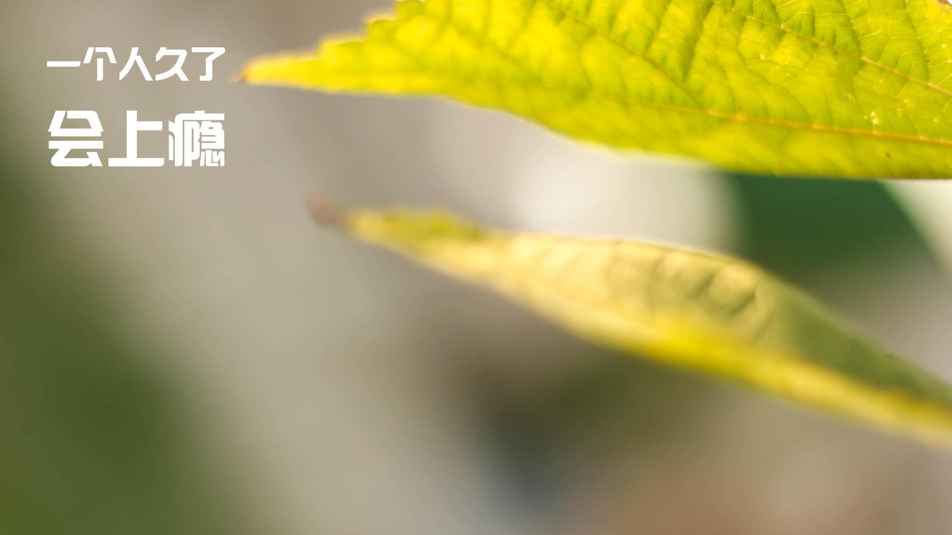 爱游戏赛事中心-篮球运动员心理健康维护与干预体系构建,篮球运动员心理训练