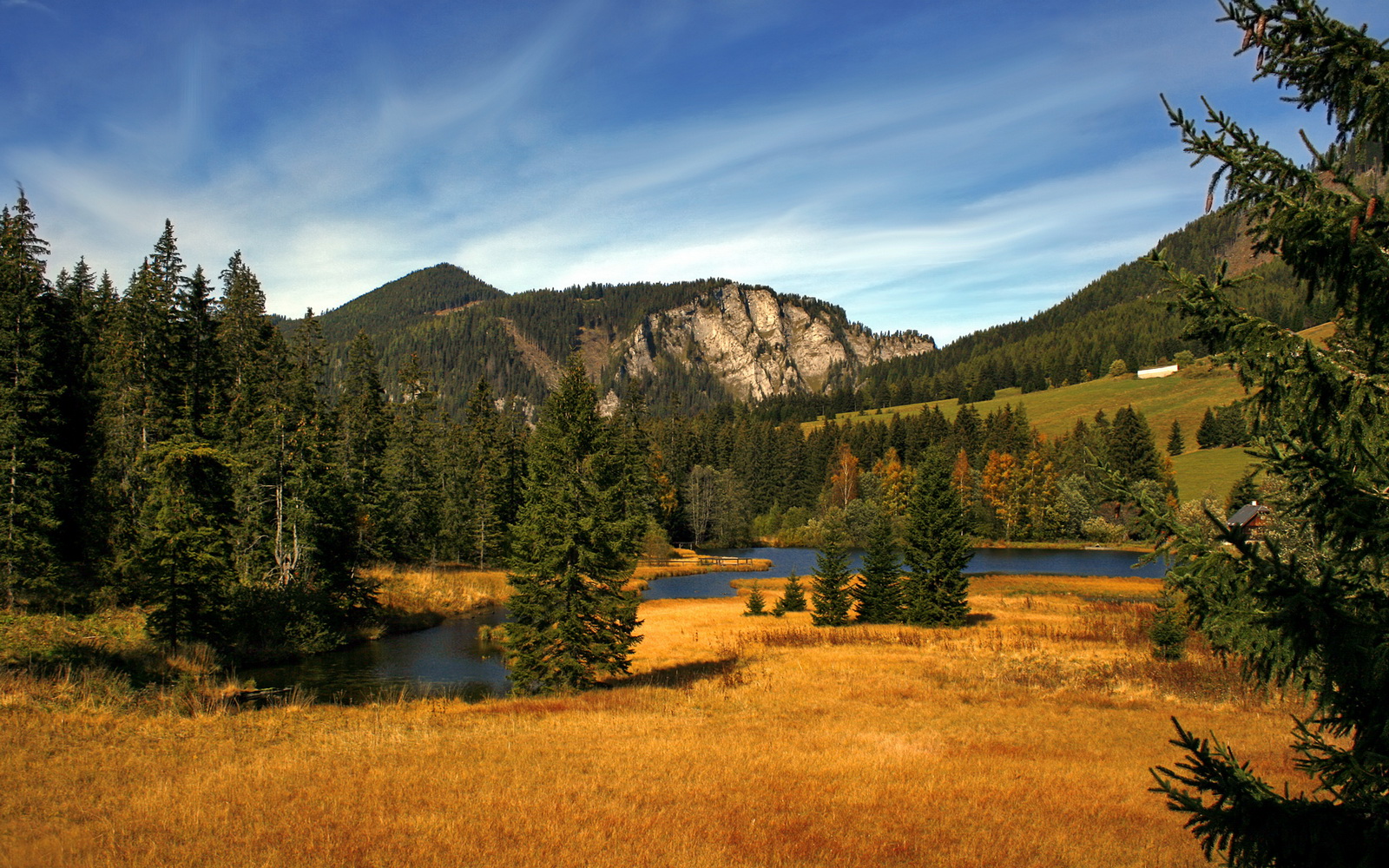 爱游戏-篮球比赛策略智能辅助系统的开发与实施,篮球比赛设置