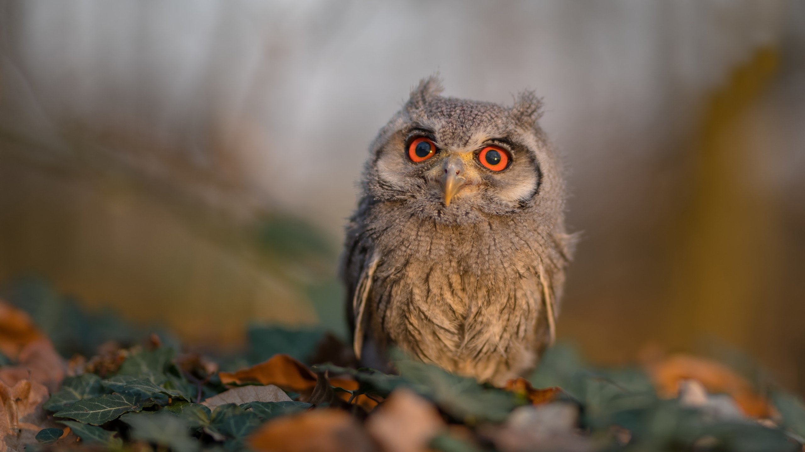 爱游戏体育-篮球运动员竞技心理韧性培养与干预措施,篮球心里训练的重要性