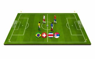 爱游戏服务-青少年体育运动激励机制与持续参与研究,青少年体育运动计划的制定