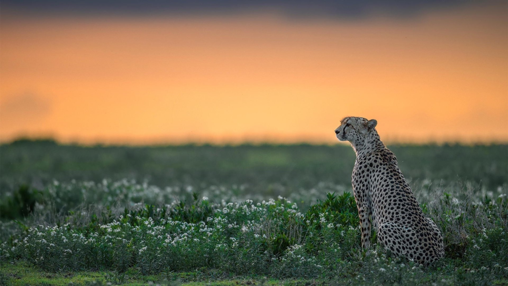 爱游戏平台-高校学生体育锻炼动机及影响因素研究,高校大学生体育锻炼需求状况