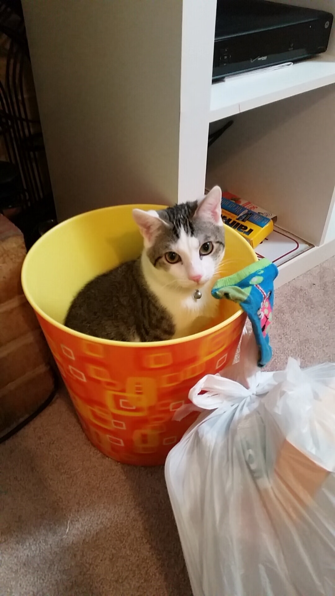 爱游戏赛事中心-国家队备战准备是否科学合理,国家备战有哪些表现