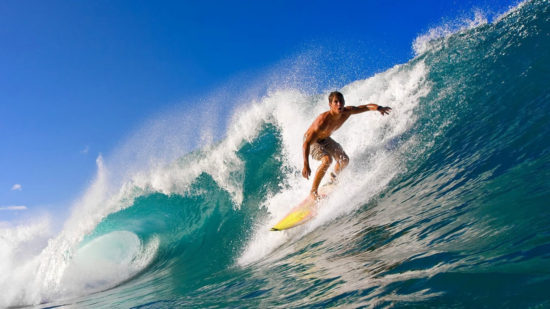 潜力新星:被看好的未来“超级巨星”们,潜力新星是什么意思